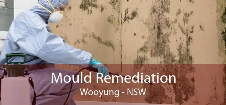 Mould Remediation Wooyung - NSW