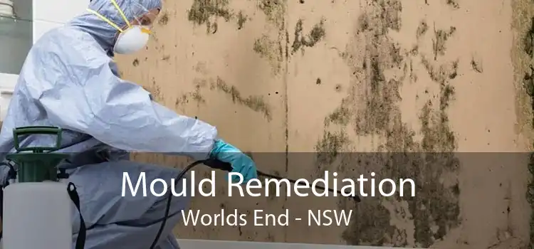 Mould Remediation Worlds End - NSW