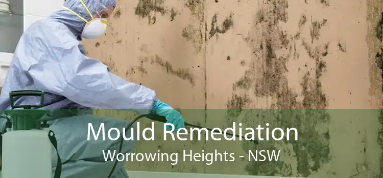 Mould Remediation Worrowing Heights - NSW
