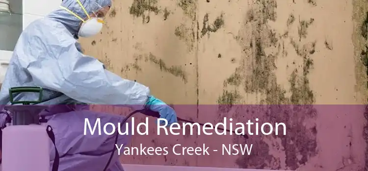 Mould Remediation Yankees Creek - NSW