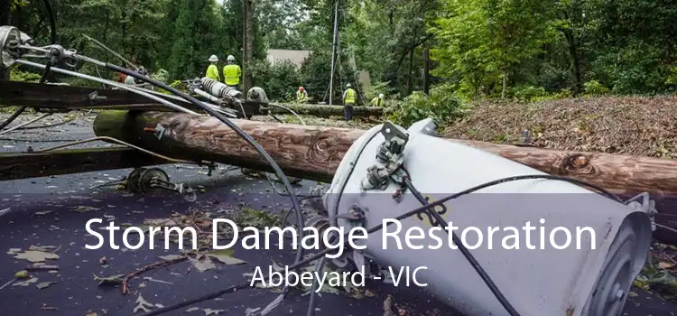 Storm Damage Restoration Abbeyard - VIC