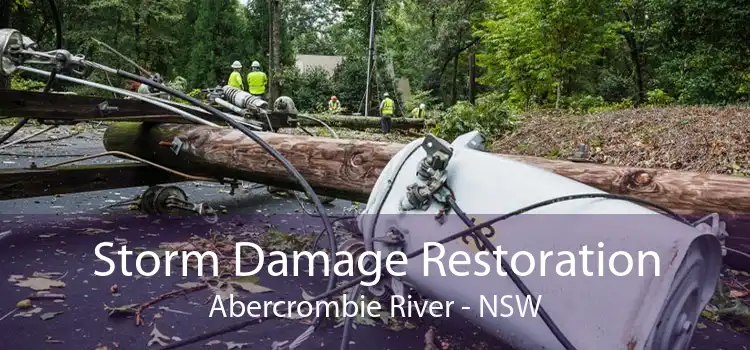Storm Damage Restoration Abercrombie River - NSW