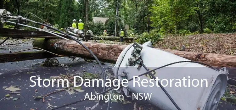 Storm Damage Restoration Abington - NSW