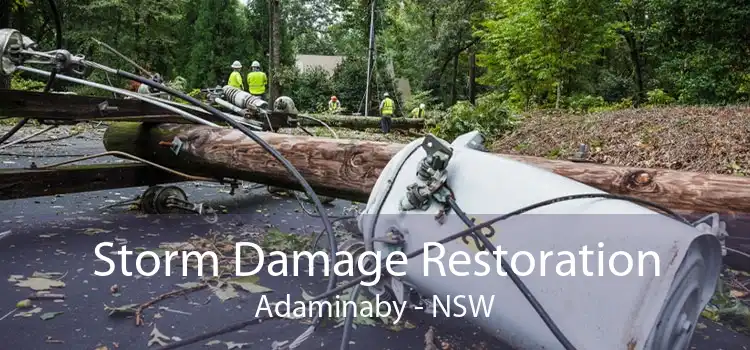 Storm Damage Restoration Adaminaby - NSW