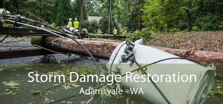 Storm Damage Restoration Adamsvale - WA