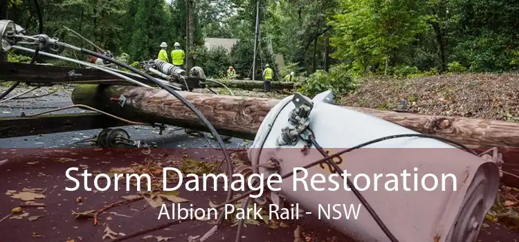 Storm Damage Restoration Albion Park Rail - NSW