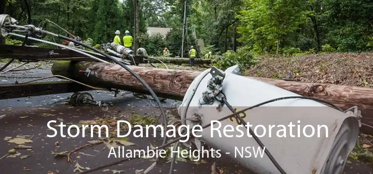 Storm Damage Restoration Allambie Heights - NSW