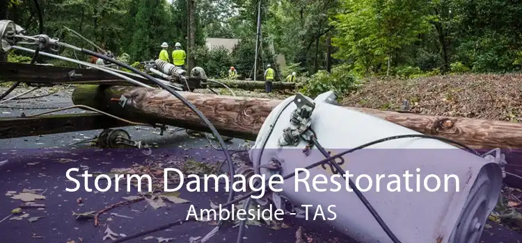 Storm Damage Restoration Ambleside - TAS