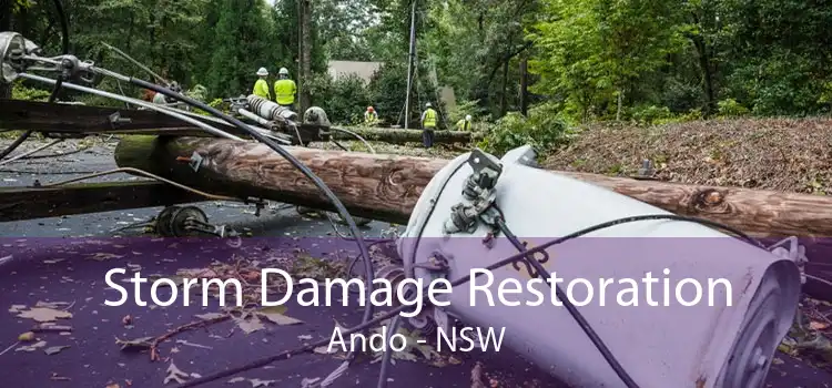 Storm Damage Restoration Ando - NSW