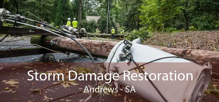 Storm Damage Restoration Andrews - SA