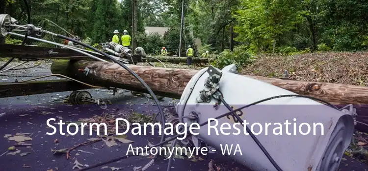 Storm Damage Restoration Antonymyre - WA