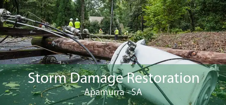 Storm Damage Restoration Apamurra - SA