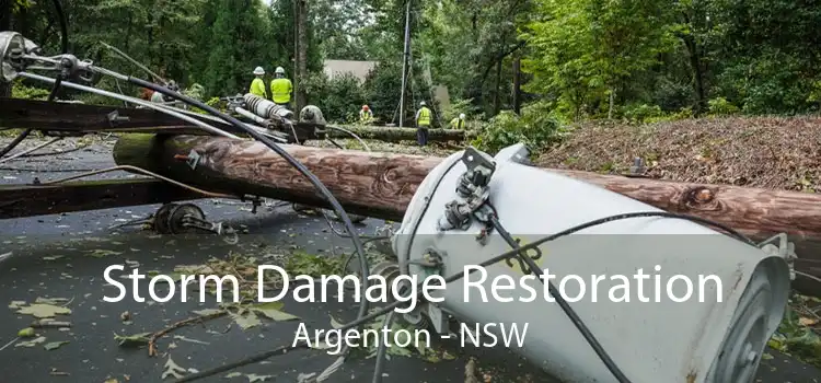 Storm Damage Restoration Argenton - NSW
