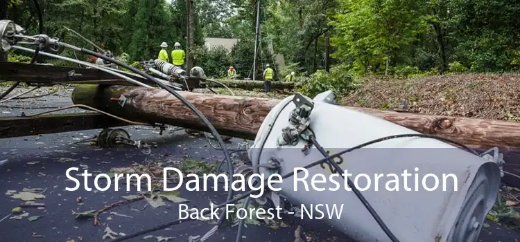 Storm Damage Restoration Back Forest - NSW