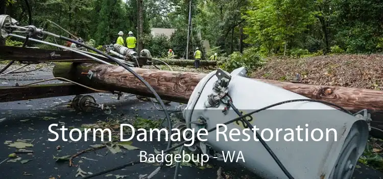 Storm Damage Restoration Badgebup - WA