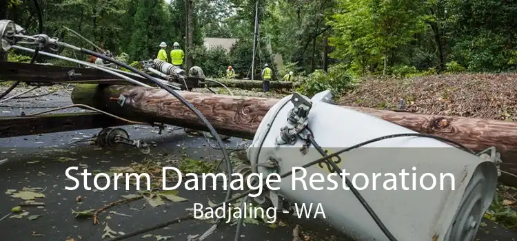 Storm Damage Restoration Badjaling - WA