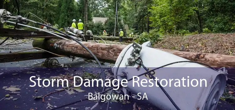 Storm Damage Restoration Balgowan - SA