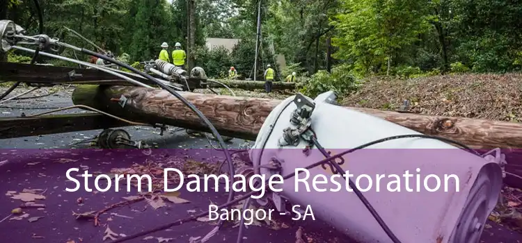 Storm Damage Restoration Bangor - SA