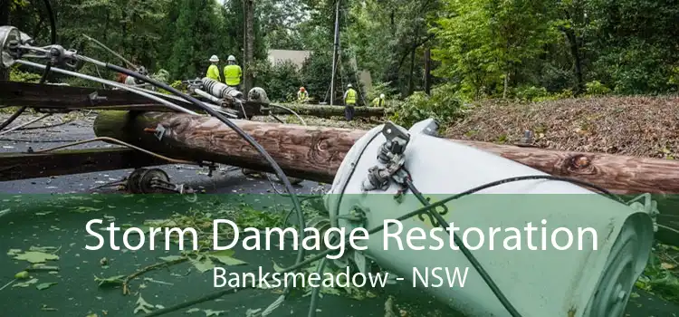 Storm Damage Restoration Banksmeadow - NSW