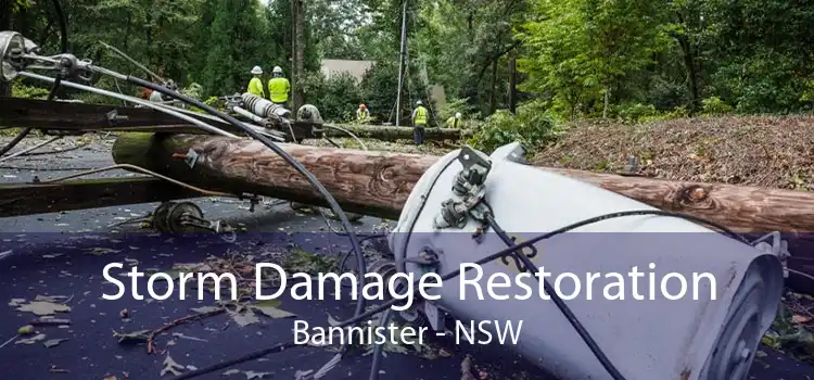 Storm Damage Restoration Bannister - NSW