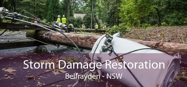Storm Damage Restoration Belfrayden - NSW