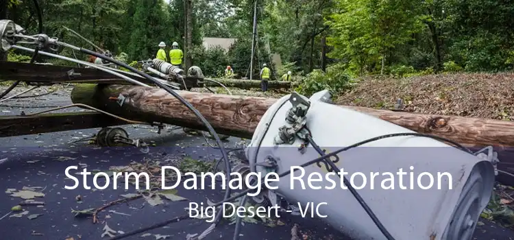 Storm Damage Restoration Big Desert - VIC