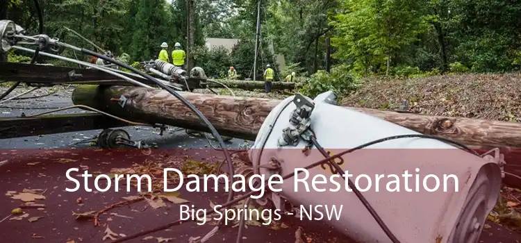 Storm Damage Restoration Big Springs - NSW