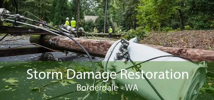Storm Damage Restoration Borderdale - WA