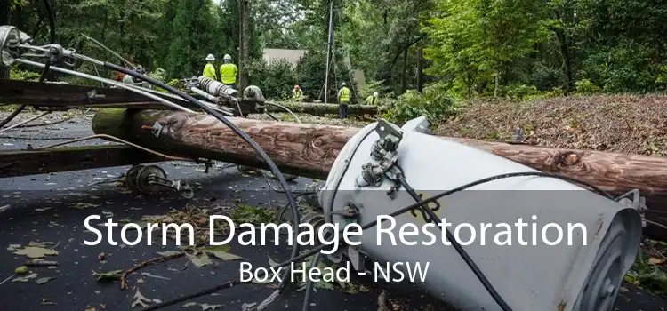 Storm Damage Restoration Box Head - NSW