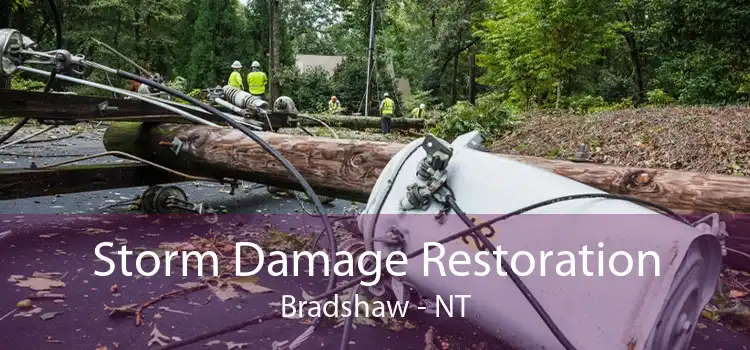 Storm Damage Restoration Bradshaw - NT