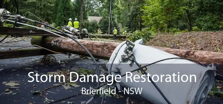 Storm Damage Restoration Brierfield - NSW