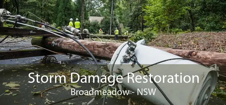 Storm Damage Restoration Broadmeadow - NSW