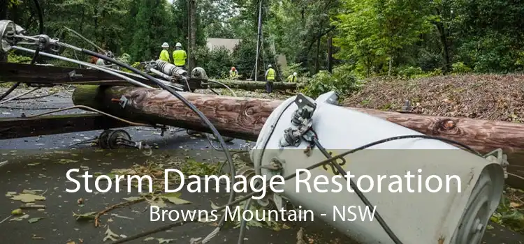 Storm Damage Restoration Browns Mountain - NSW