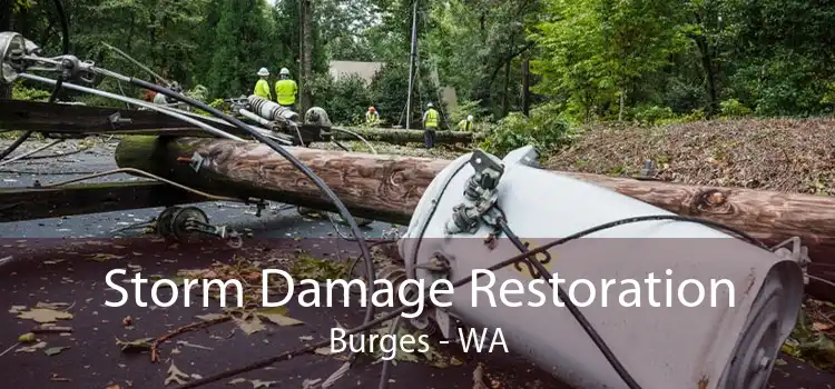Storm Damage Restoration Burges - WA