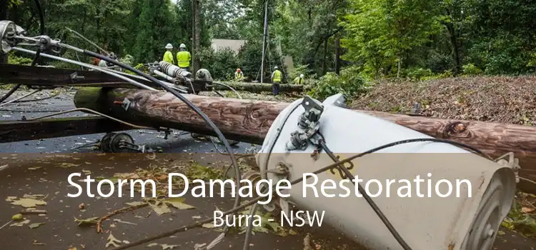 Storm Damage Restoration Burra - NSW