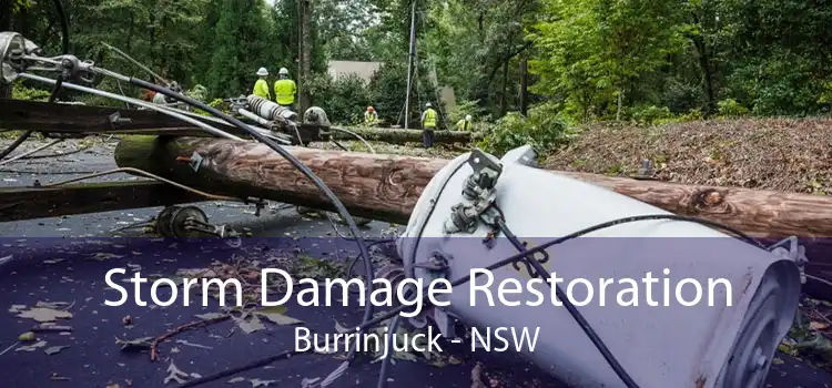 Storm Damage Restoration Burrinjuck - NSW