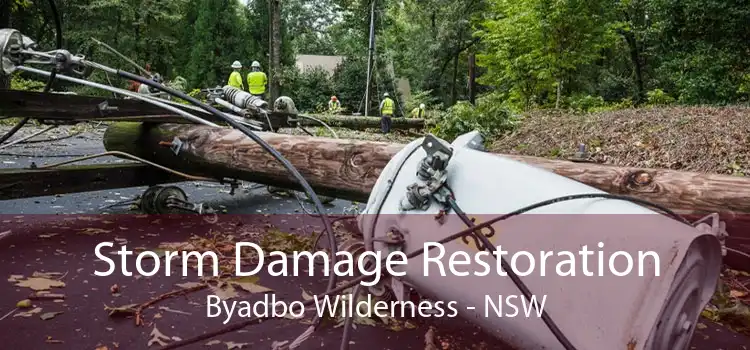 Storm Damage Restoration Byadbo Wilderness - NSW