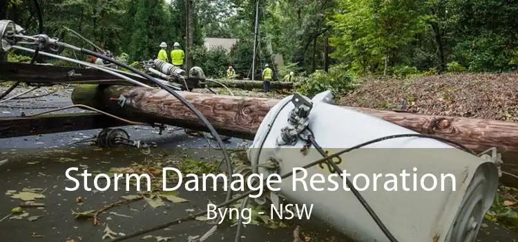 Storm Damage Restoration Byng - NSW