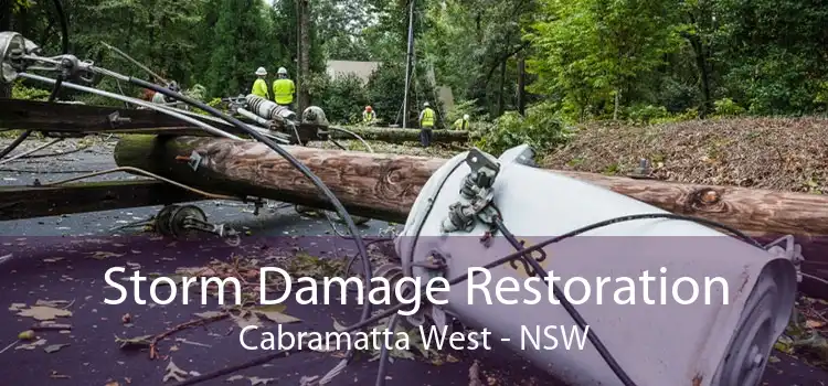 Storm Damage Restoration Cabramatta West - NSW