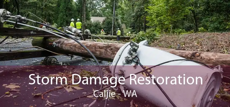 Storm Damage Restoration Caljie - WA