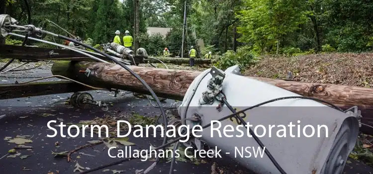 Storm Damage Restoration Callaghans Creek - NSW