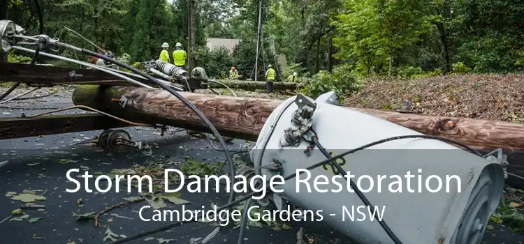 Storm Damage Restoration Cambridge Gardens - NSW