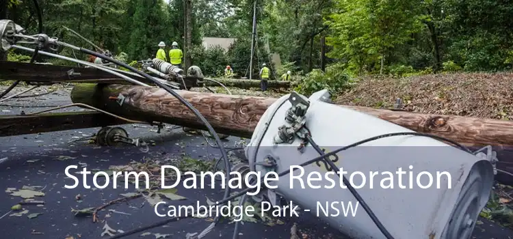 Storm Damage Restoration Cambridge Park - NSW