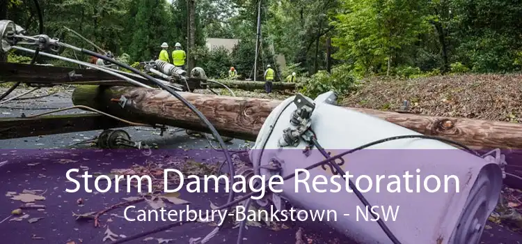 Storm Damage Restoration Canterbury-Bankstown - NSW