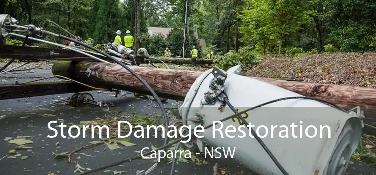 Storm Damage Restoration Caparra - NSW