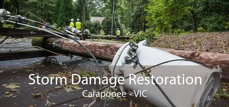 Storm Damage Restoration Carapooee - VIC