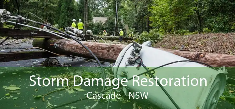 Storm Damage Restoration Cascade - NSW
