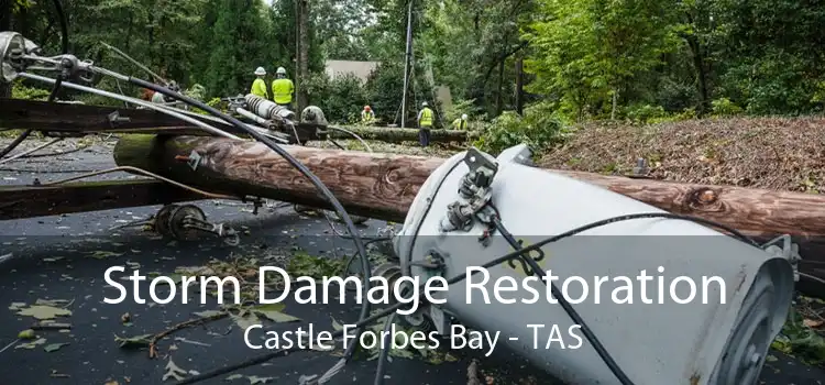 Storm Damage Restoration Castle Forbes Bay - TAS