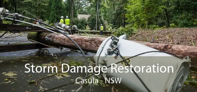 Storm Damage Restoration Casula - NSW