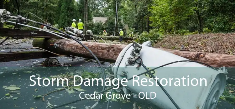 Storm Damage Restoration Cedar Grove - QLD